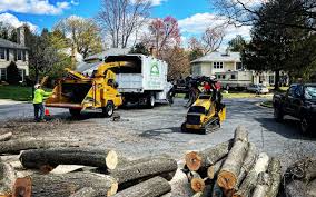 Lawn Grading and Leveling in Johnston, SC