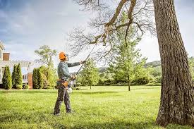 Best Tree and Shrub Care  in Johnston, SC