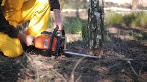 Best Aeration Services  in Johnston, SC