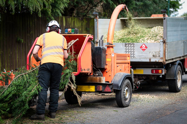 Best Pest Control for Lawns  in Johnston, SC